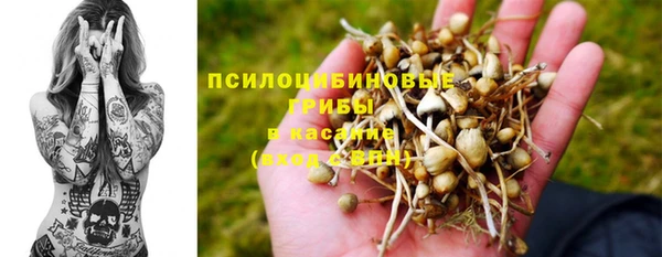 прущая мука Балахна