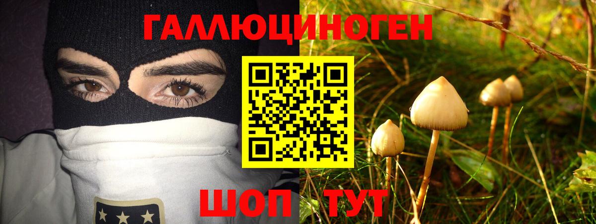 Галлюциногенные грибы Cubensis  Вход с VPN  Вязьма 